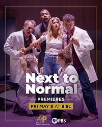 Next to Normal: The Musical
