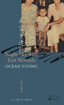 夜空穿透伤:王鸥行诗集