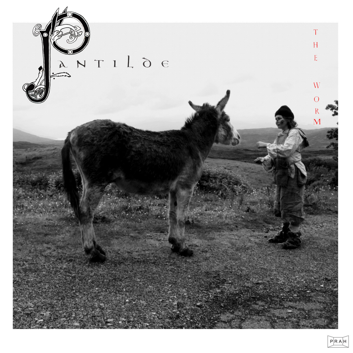 Pantilde