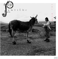 Pantilde